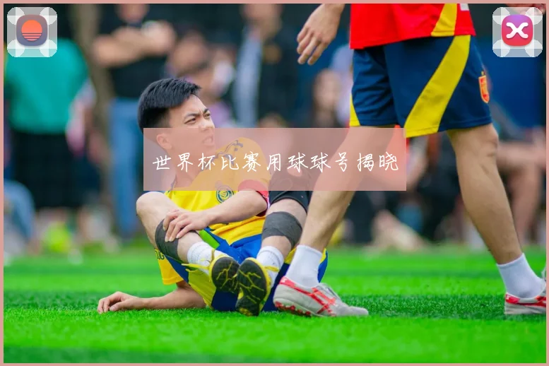 世界杯比赛用球球号揭晓