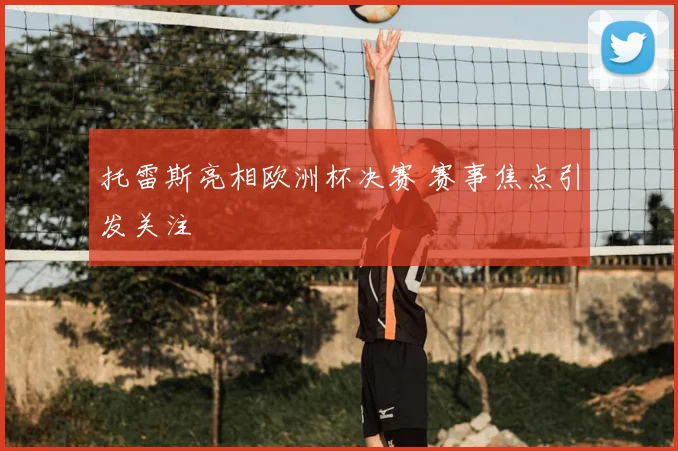 托雷斯亮相欧洲杯决赛 赛事焦点引发关注