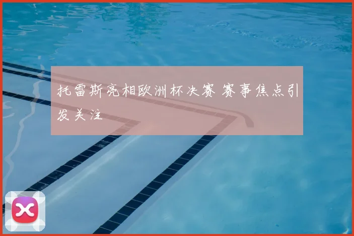 托雷斯亮相欧洲杯决赛 赛事焦点引发关注