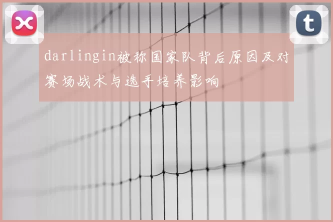 darlingin被称国家队背后原因及对赛场战术与选手培养影响