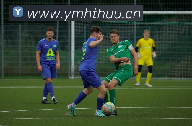 辅助工具 辅助工具